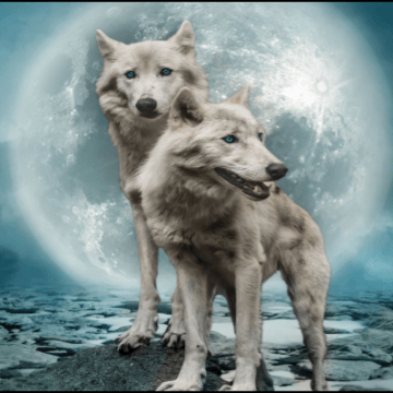 Cherokee Story of Two Wolves